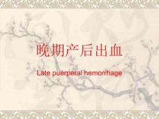 晚期产后出血-妇产科教学