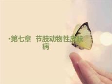 教学课件：第七章节肢动物性皮肤病