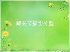 踝关节损伤分型