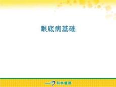 《眼底病基础》PPT课件
