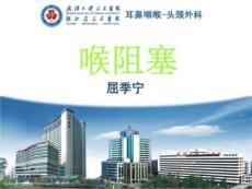 喉阻塞1分析课件