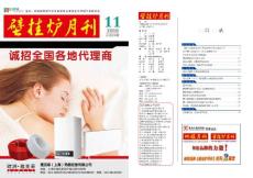 壁掛爐月刊2010年第11期