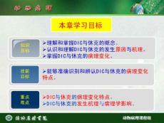 弥散性血管内凝血与休克