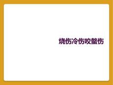 烧伤冷伤咬螫伤