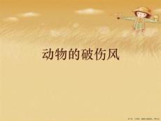 动物的破伤风