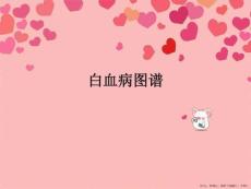 白血病图谱