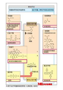 治療桿菌感染的藥物