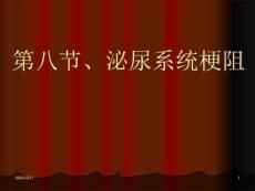 尿路梗阻及其他ppt课件
