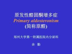 原发性增多症醛固酮PPT