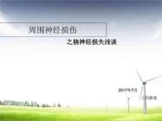 周围神经损伤-桡神经损伤