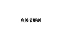 肩关节解剖