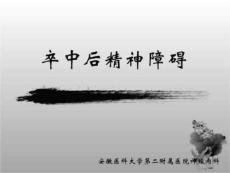 脑卒中后精神障碍