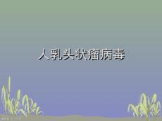人乳头状瘤病毒