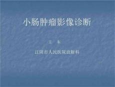 小肠肿瘤影像诊断学