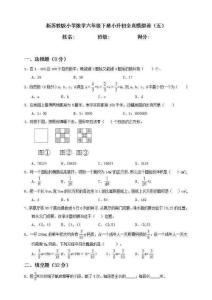 新蘇教版小學數學六年級下冊小升初全真模擬卷（五）（含答案）