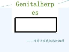生殖器疱疹规范化诊疗