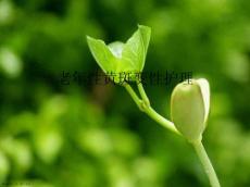 老年性黄斑变性护理