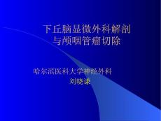 下丘脑解剖颅咽管瘤切除