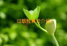 过敏性鼻炎介绍