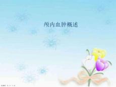 颅内血肿概述