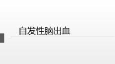 自发性脑出血ppt课件