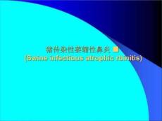 猪传染性性萎缩性鼻炎