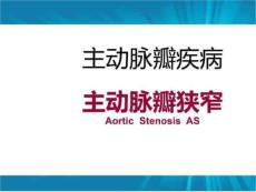 主动脉瓣+肺动脉瓣