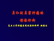 鼻和副鼻窦肿瘤影像诊断