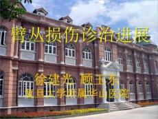 臂丛神经损伤的诊治PPT
