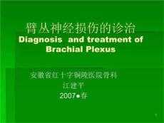 臂丛神经损伤的诊治课件