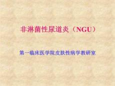 非淋菌性尿道炎(NGU)