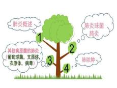 肺炎链球菌肺炎PPT