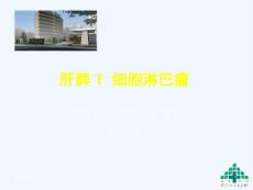 T细胞淋巴瘤郝总结