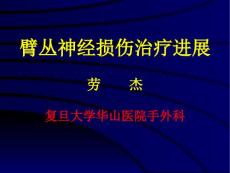 臂丛神经损伤治疗进展
