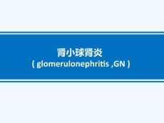 病理肾小球肾炎