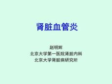 肾脏血管炎-病理
