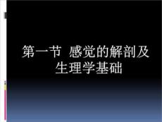 《感觉障碍及评定》PPT课件
