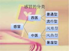 《感冒与感冒药》PPT课件