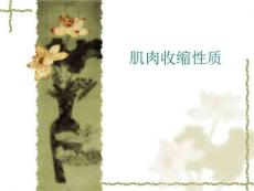 《肌肉收缩性质》PPT课件