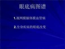 《眼底病图谱》PPT课件
