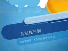 《自发性气胸》PPT课件