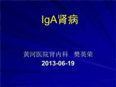 《IgA肾病ywl》PPT课件