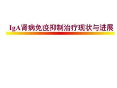 《IgA肾病治疗》PPT课件