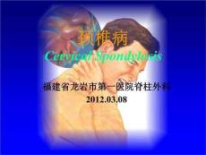 《颈椎病颈肩疼痛》PPT课件