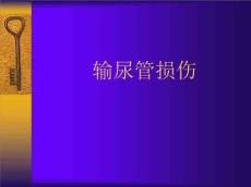 《输尿管损伤》PPT课件