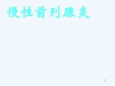 慢性前列腺炎