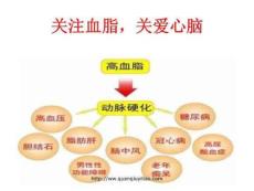 关注高血脂-高血脂ppt