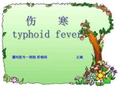 伤寒与副伤寒课件