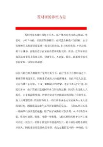 发财树的养殖方法