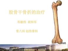 股骨干骨折骨折PPT课件